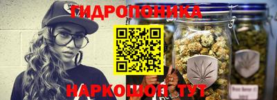 крисы Рыбинск